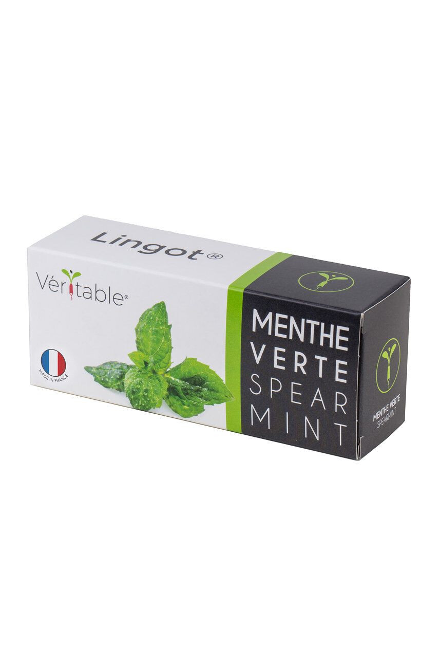 Veritable Insertie de seminte menta - Pled.ro