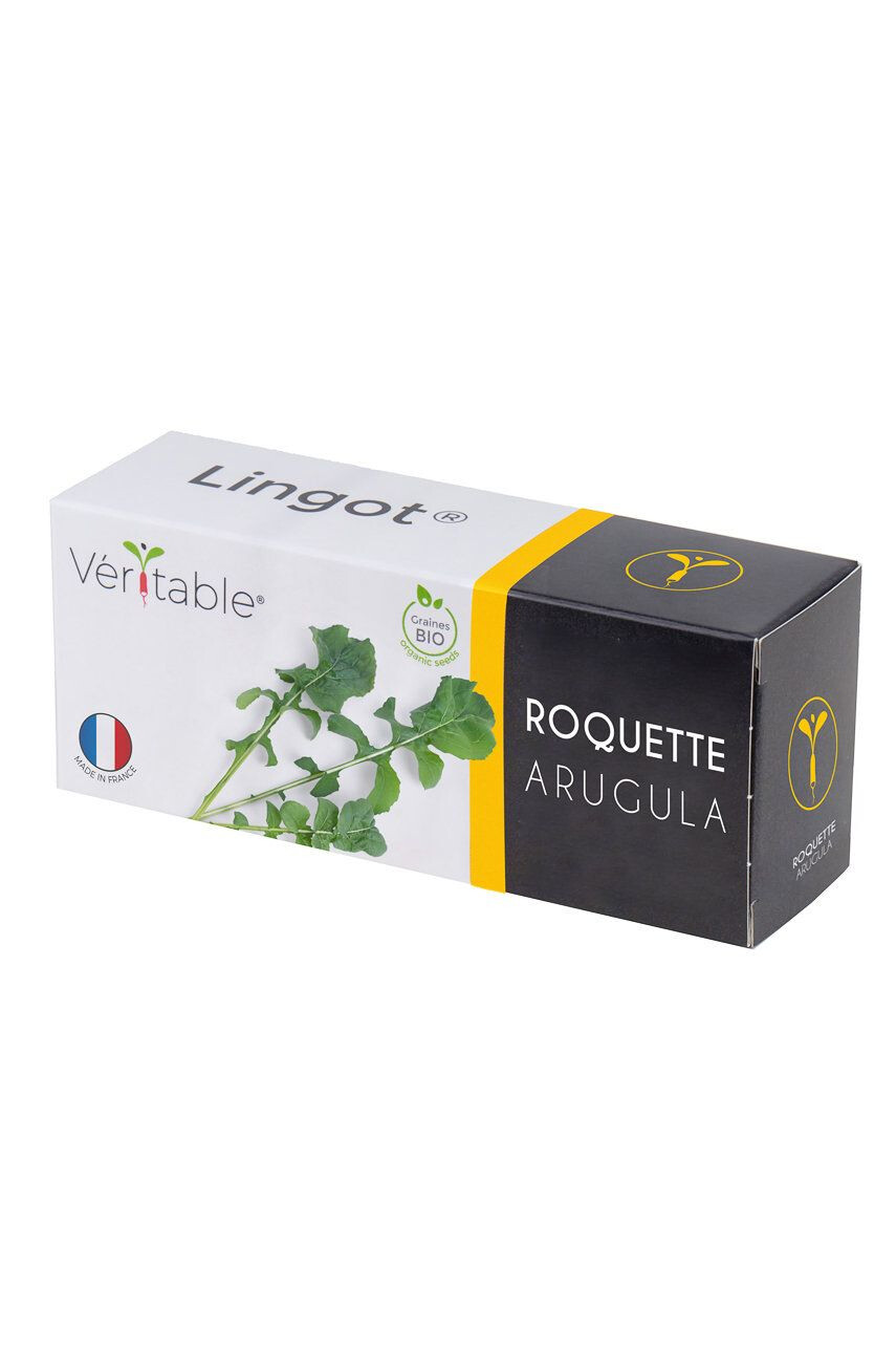 Veritable Insertie de seminte rucola - Pled.ro