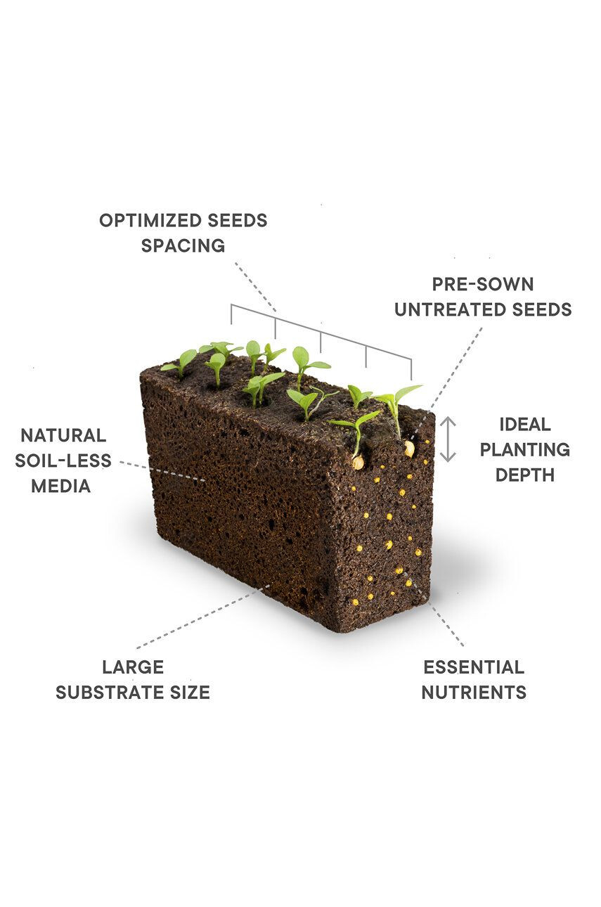 Veritable Un set cadou pentru cultivarea plantelor - Pled.ro