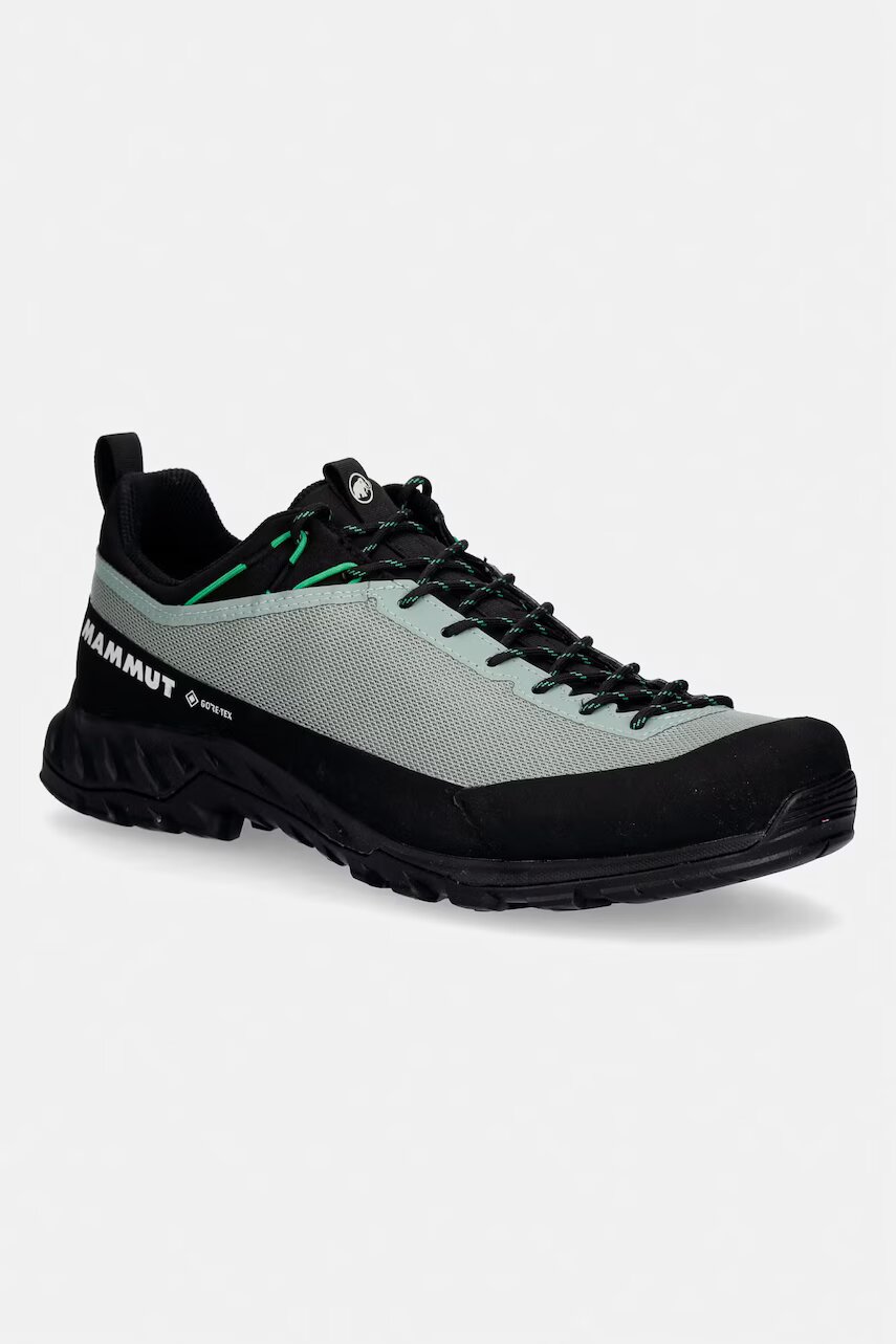 Mammut pantofi de trekking bărbați Alnasca IV Low GTX