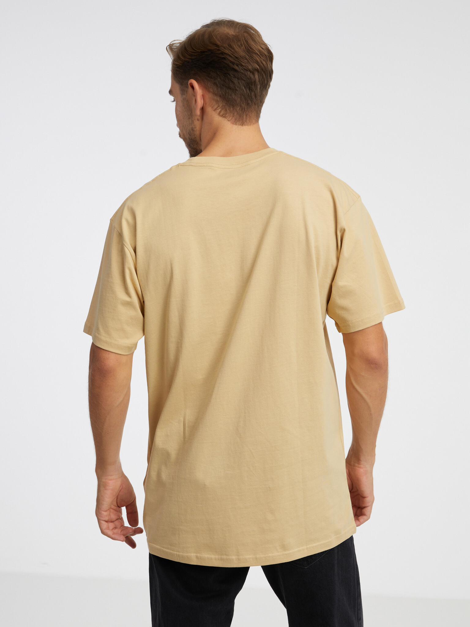 Vans Snaked Center Logo Tricou Bej - Pled.ro