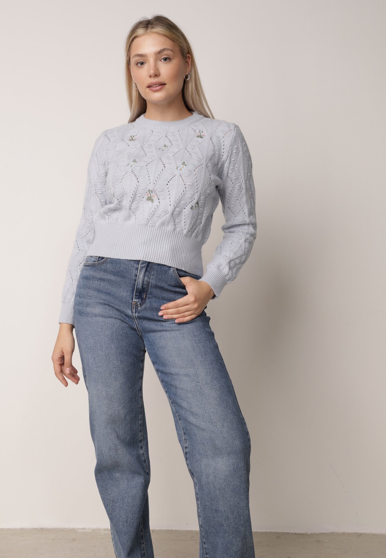 moni&co Pulover Albastru deschis cu Croială Clasică cu Flori Brodate Chasane