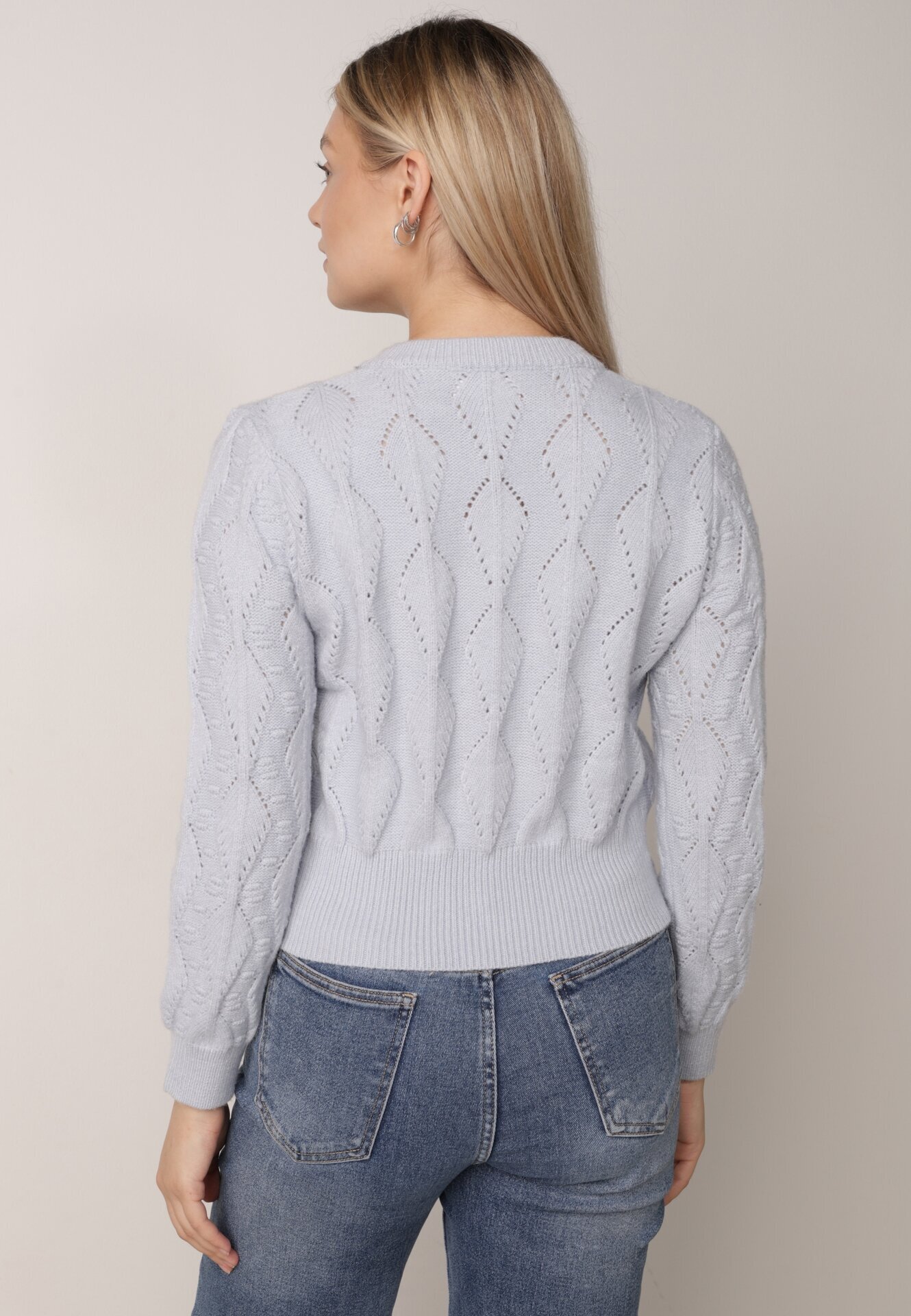 moni&co Pulover Albastru deschis cu Croială Clasică cu Flori Brodate Chasane