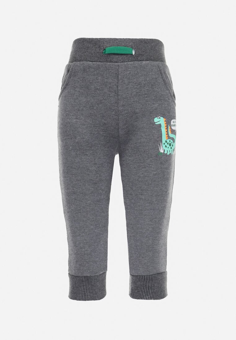  Pantaloni Gri de Trening cu Polar cu Manșete și Imprimeu de Dinozaur Bhrenna