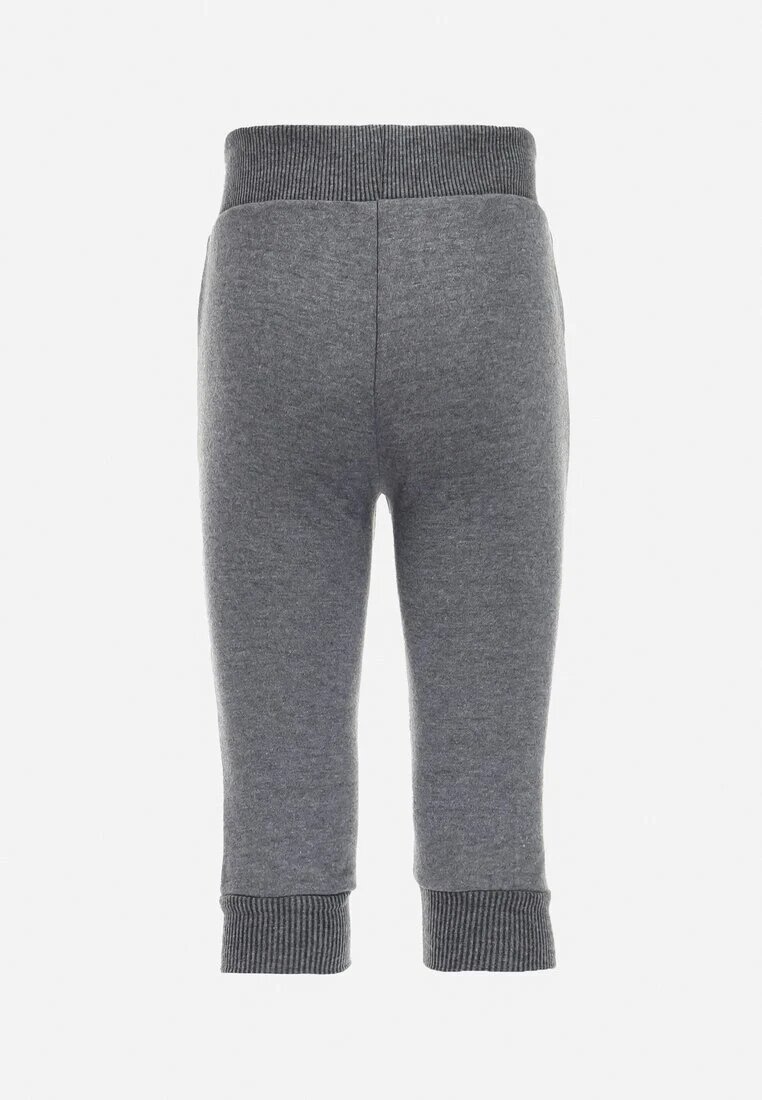  Pantaloni Gri de Trening cu Polar cu Manșete și Imprimeu de Dinozaur Bhrenna