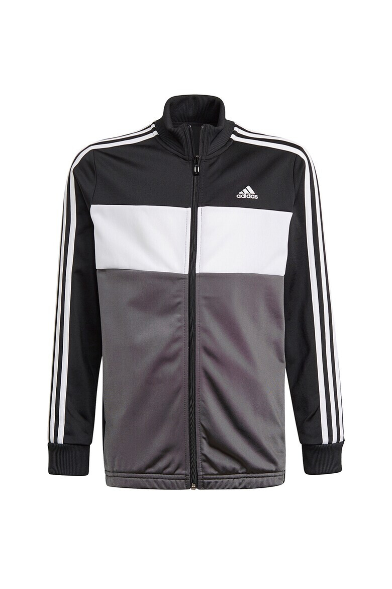 adidas Sportswear Trening cu detaliu logo Essentials - Pled.ro