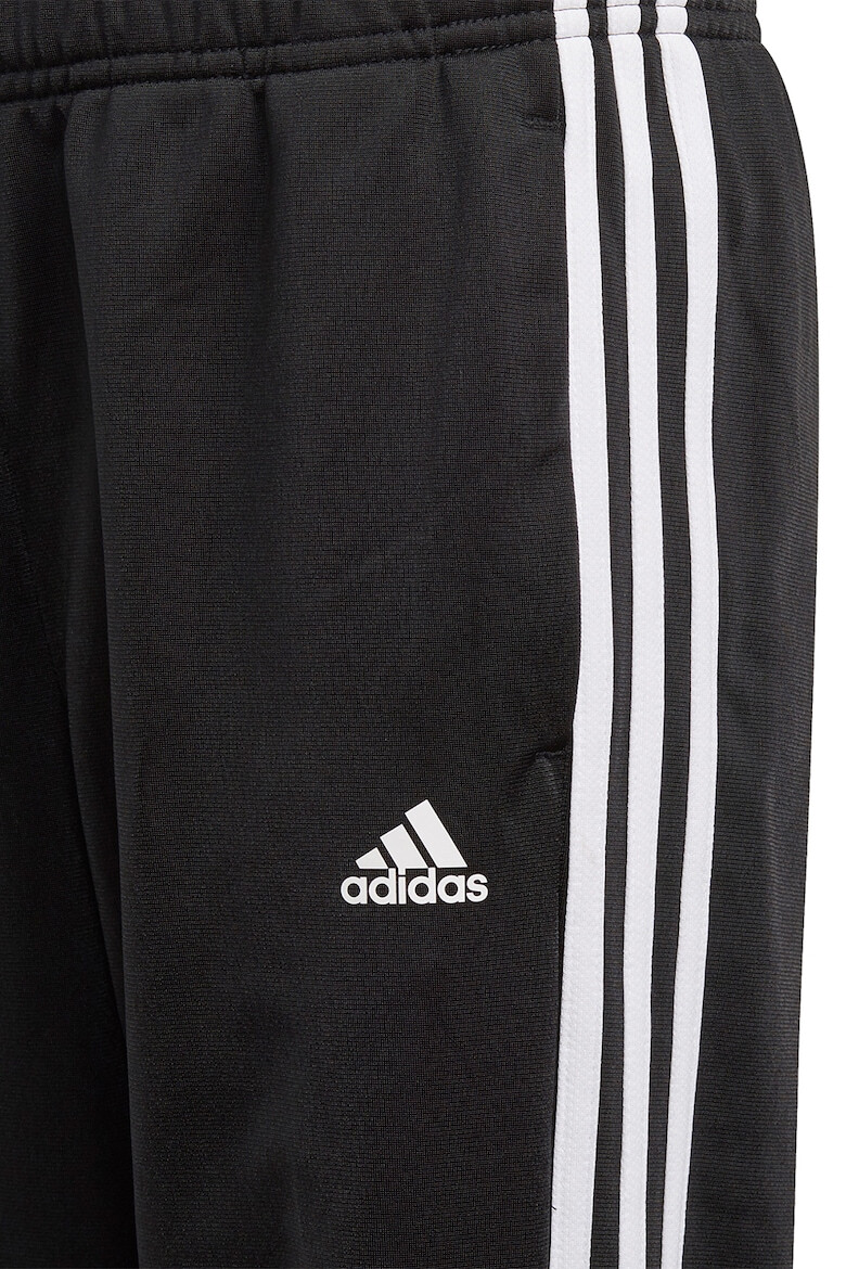 adidas Sportswear Trening cu detaliu logo Essentials - Pled.ro