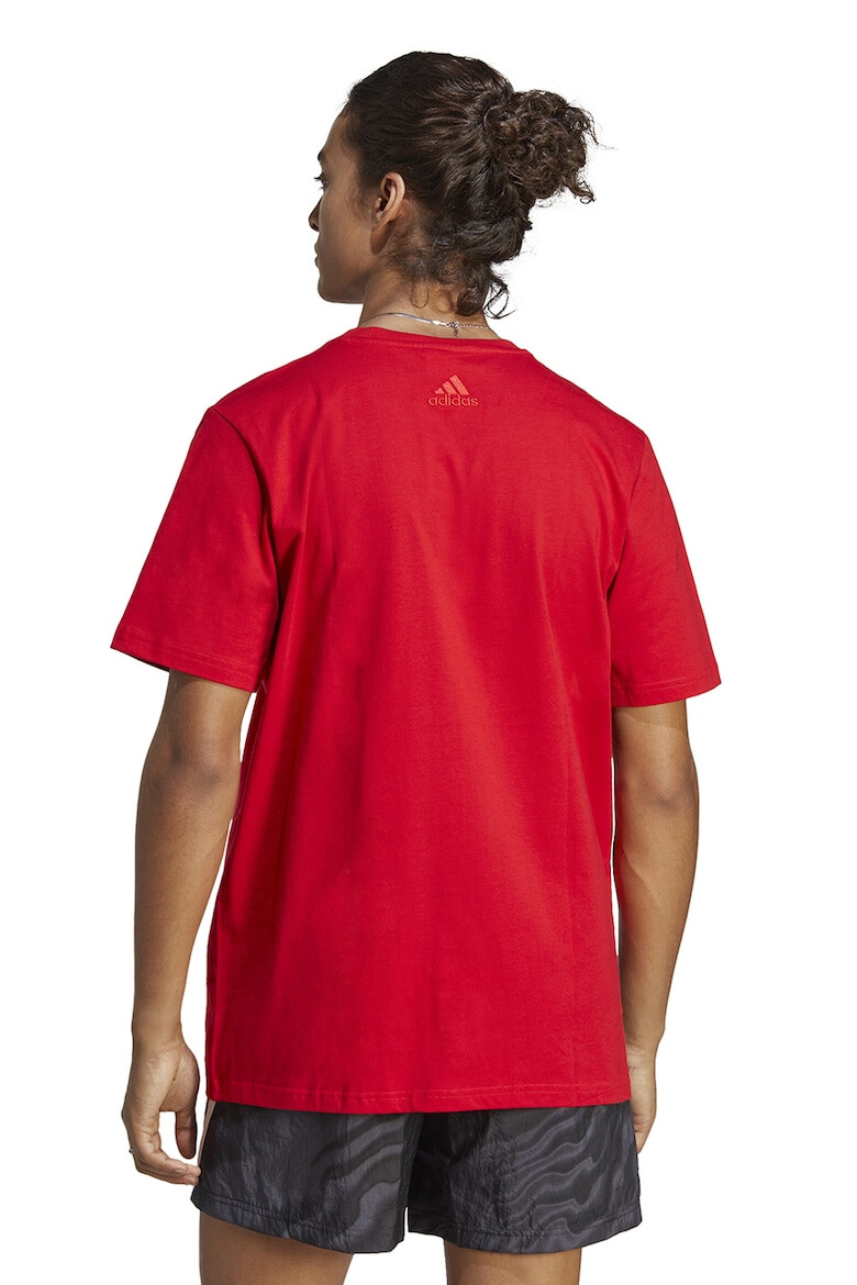 adidas Sportswear Tricou de bumbac cu imprimeu logo - Pled.ro