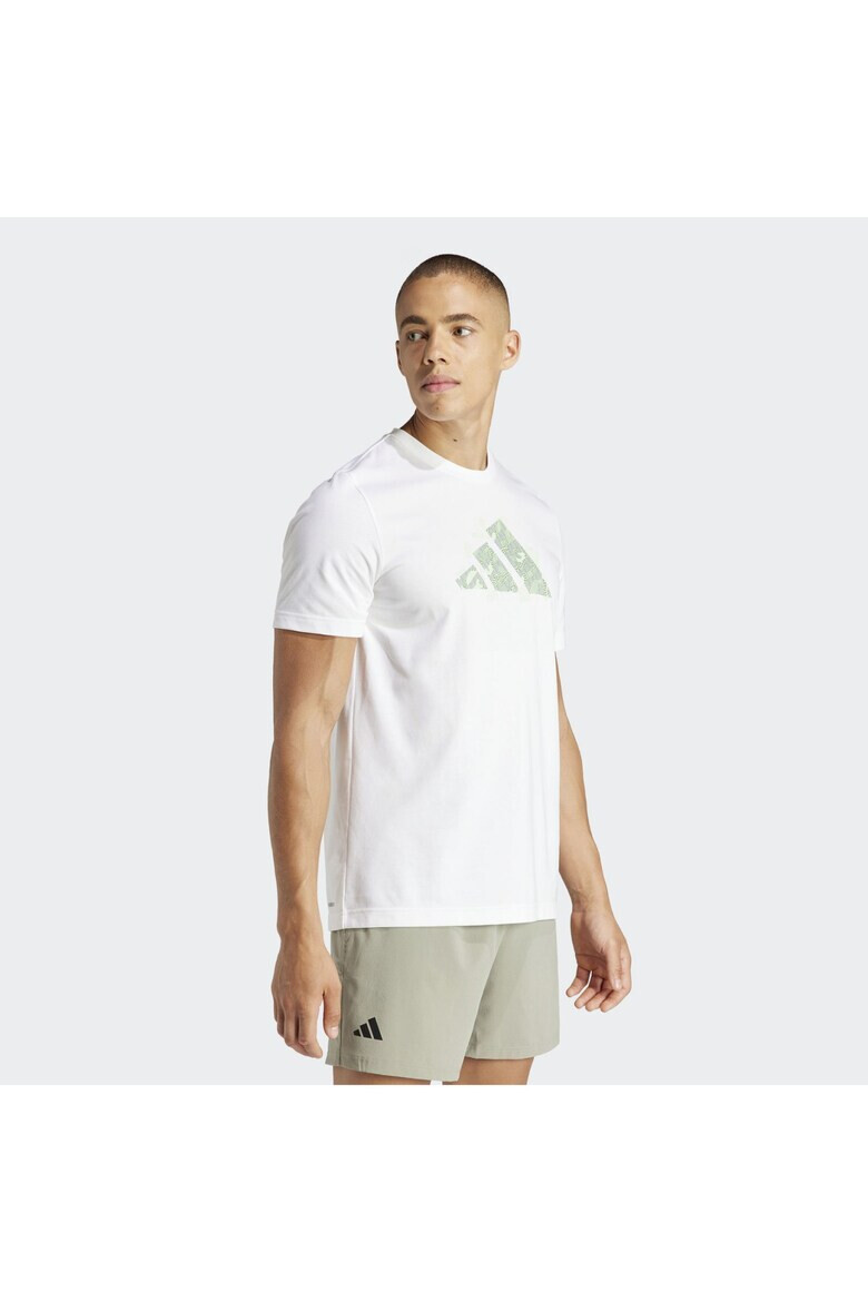 adidas Tricou M Tns Ao G T IS2418 - Pled.ro