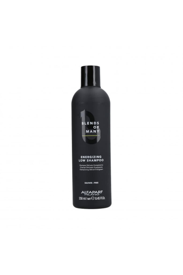 Alfaparf Sampon energizant anti-cadere Energizing Low Shampoo Blends of Many 250 ml - Pled.ro