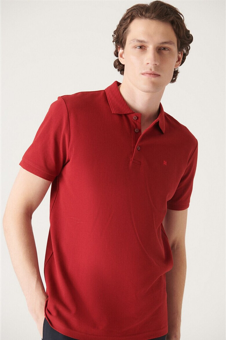 Avva Tricou polo slim fit - Pled.ro