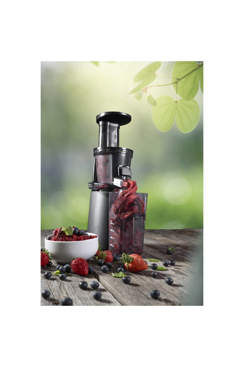 Concept Slow Juicer 3 filtre Filtru pentru Sorbet 70rev/min 150 W container suc 1l container pulpa 1.3l Negru - Pled.ro