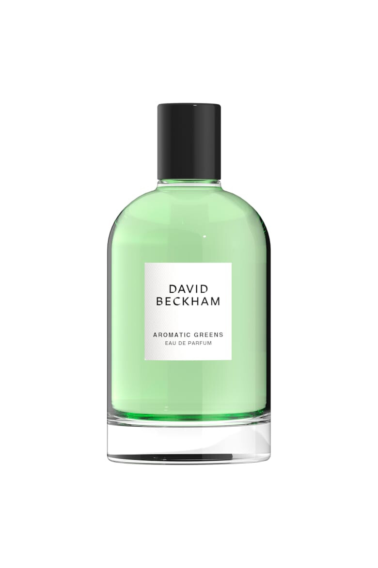 David Beckham Apa de parfum Aromatic Greens Barbati 100 ml - Pled.ro