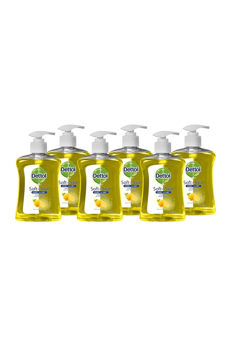 Dettol Pachet sapun lichid Citrus 6 x 250 ml - Pled.ro