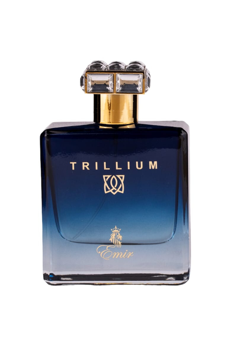 Emir Apa de Parfum Trillium Barbati 100ml - Pled.ro