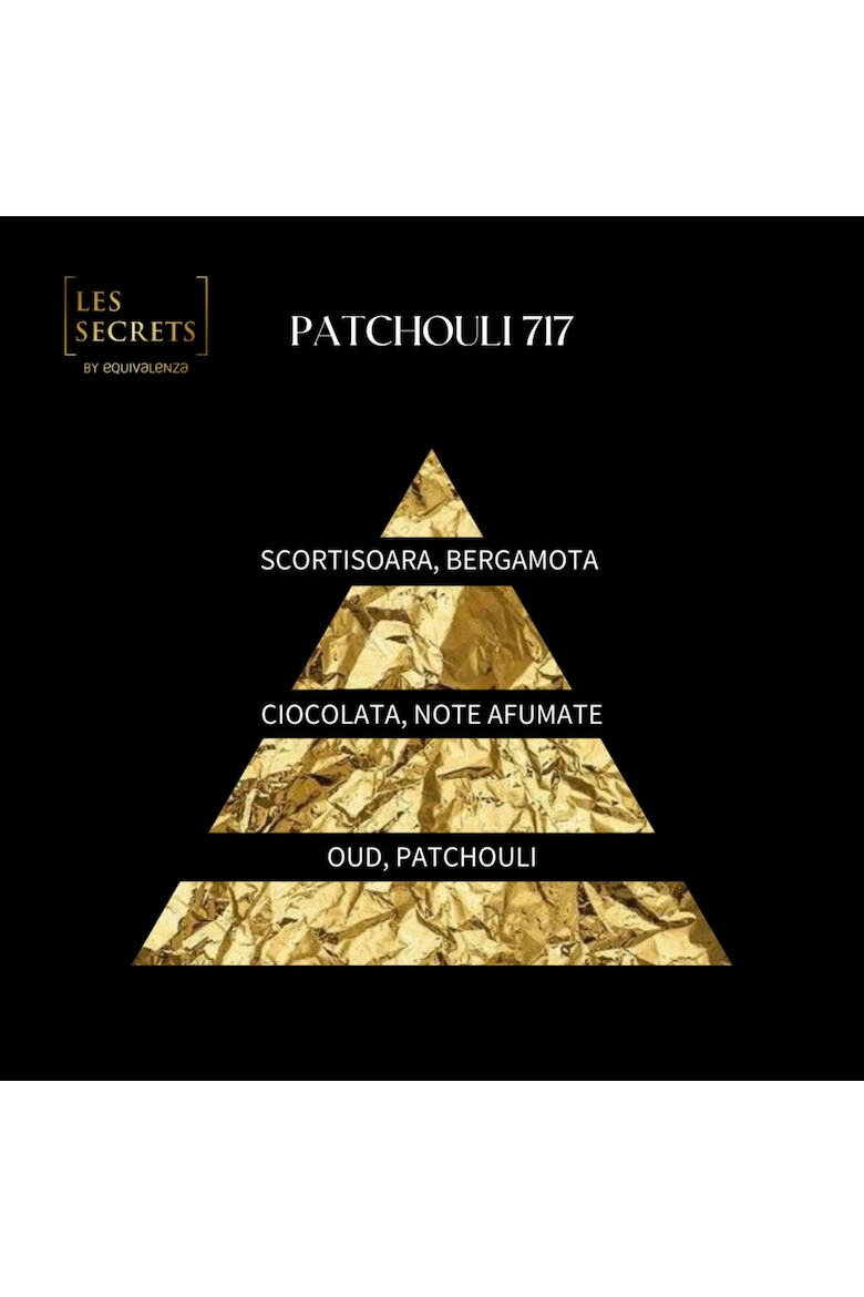 Equivalenza Apa de Parfum Les Secrets Patchouli 717 Unisex 100ml - Pled.ro