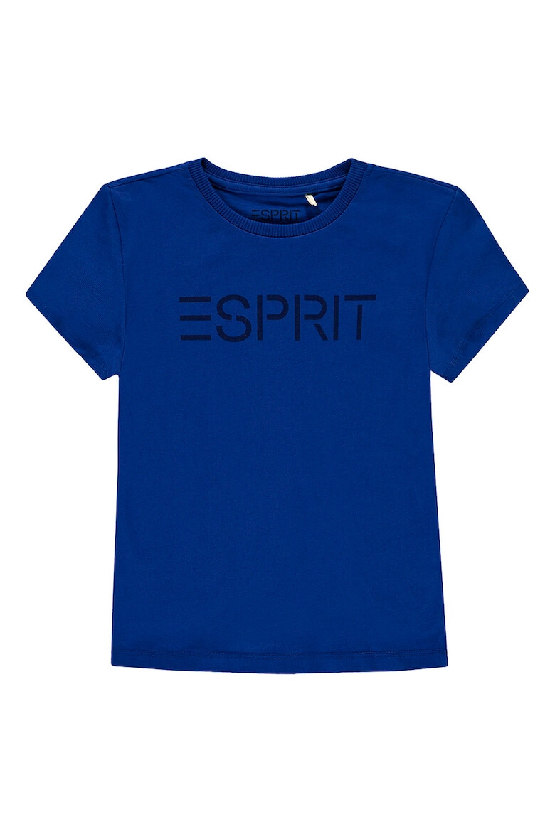 Esprit Tricou de bumbac cu imprimeu logo - Pled.ro