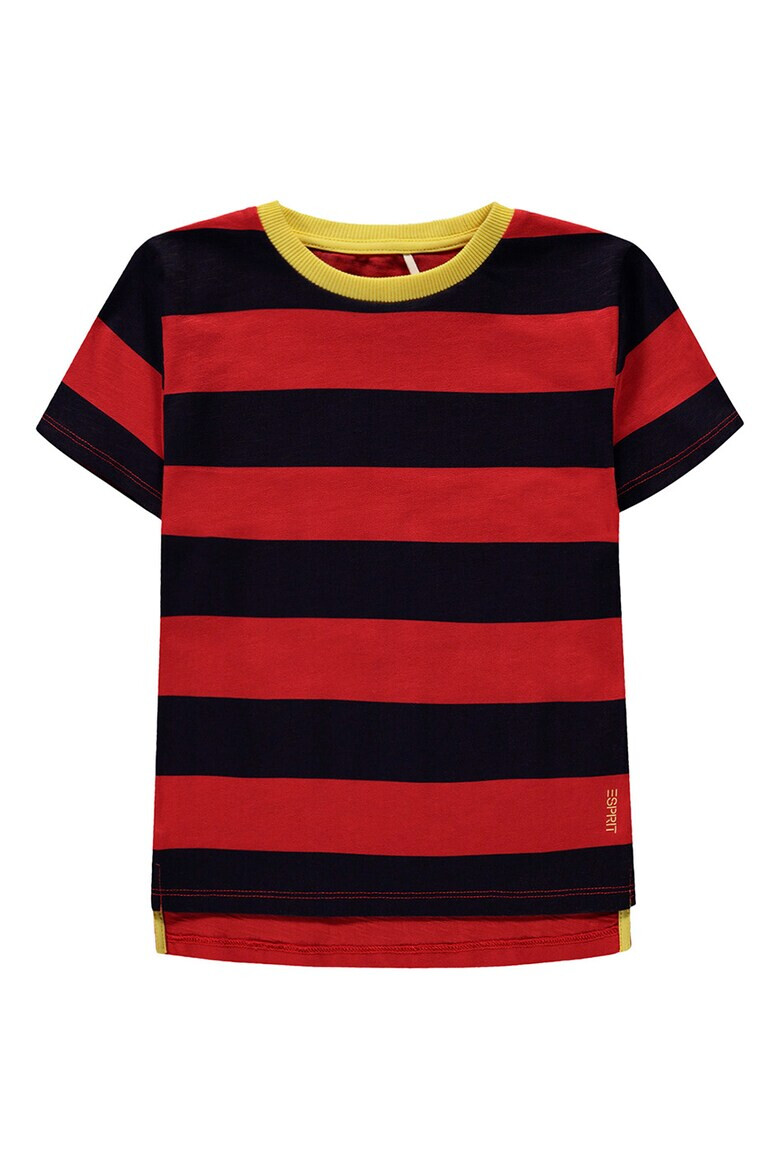 Esprit Tricou de bumbac cu model in dungi - Pled.ro