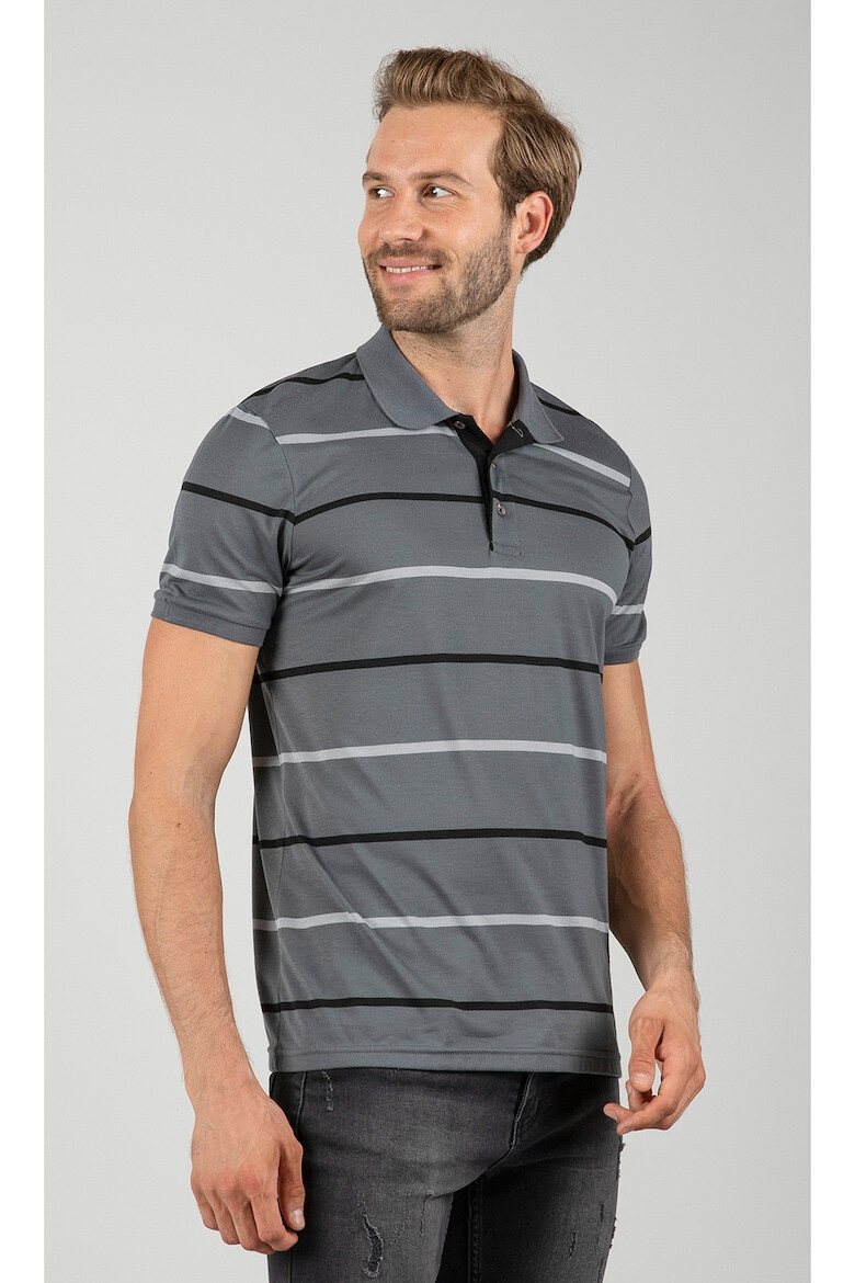 Felix Hardy Tricou polo de bumbac cu model in dungi - Pled.ro