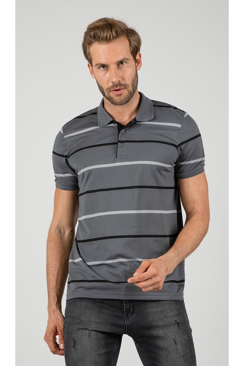 Felix Hardy Tricou polo de bumbac cu model in dungi - Pled.ro