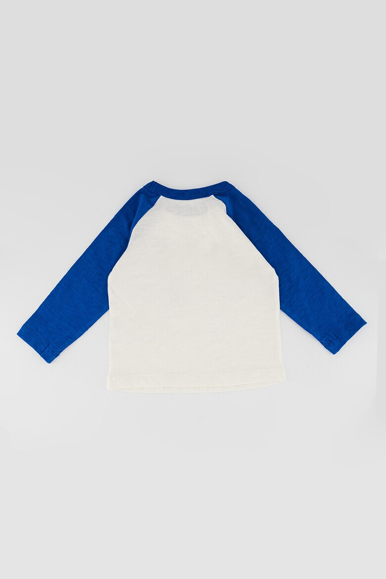 GAP Bluza cu model colorblock si maneci raglan - Pled.ro