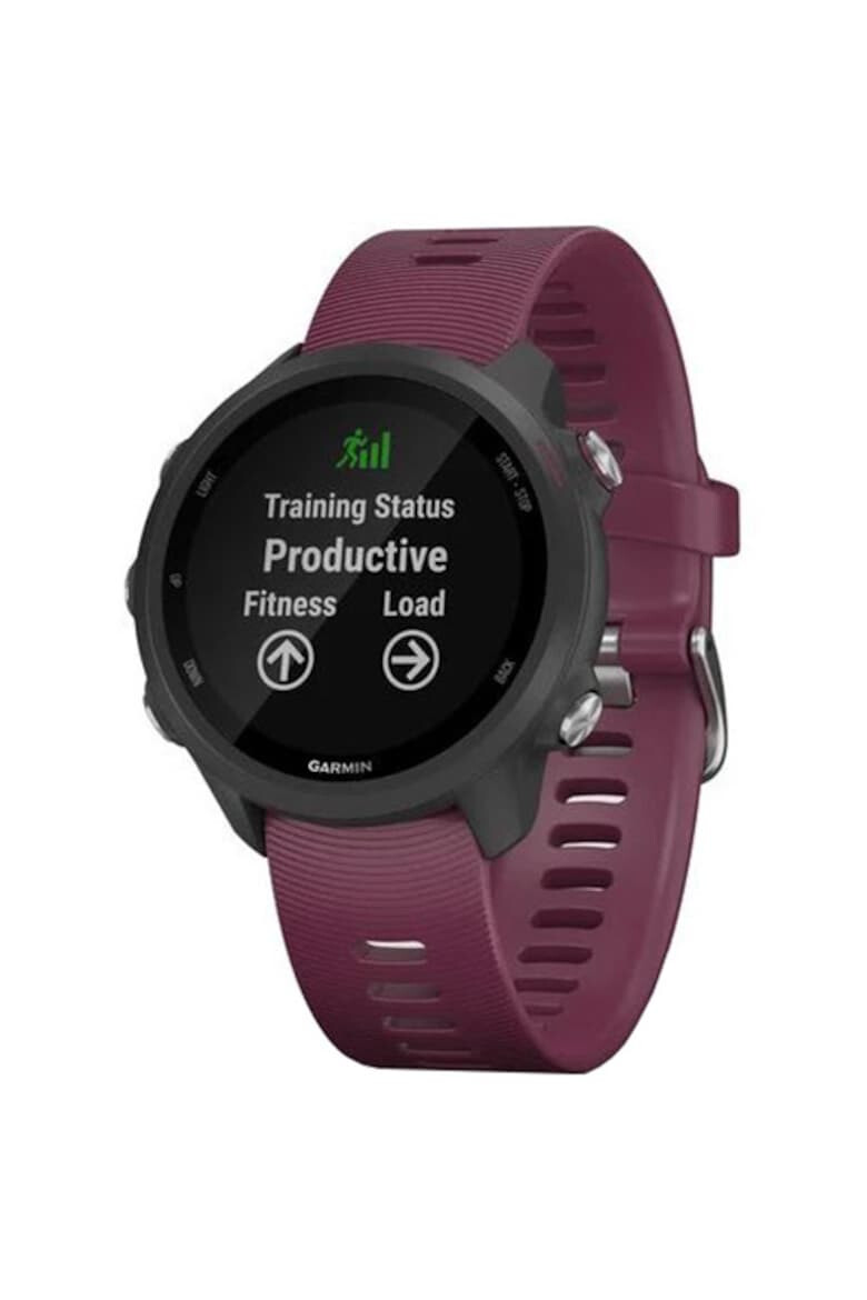 Garmin Ceas smartwatch Forerunner 245 GPS - Pled.ro