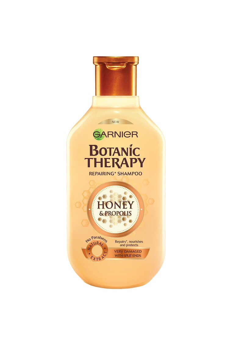 Garnier Sampon Botanic Therapy & pentru par ml - Pled.ro