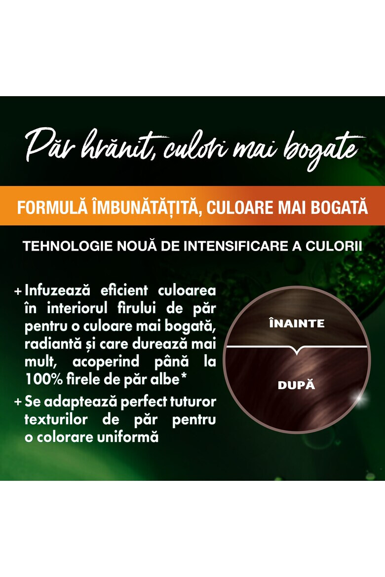 Garnier Vopsea de par permanenta cu amoniac Color Naturals 110 ml - Pled.ro