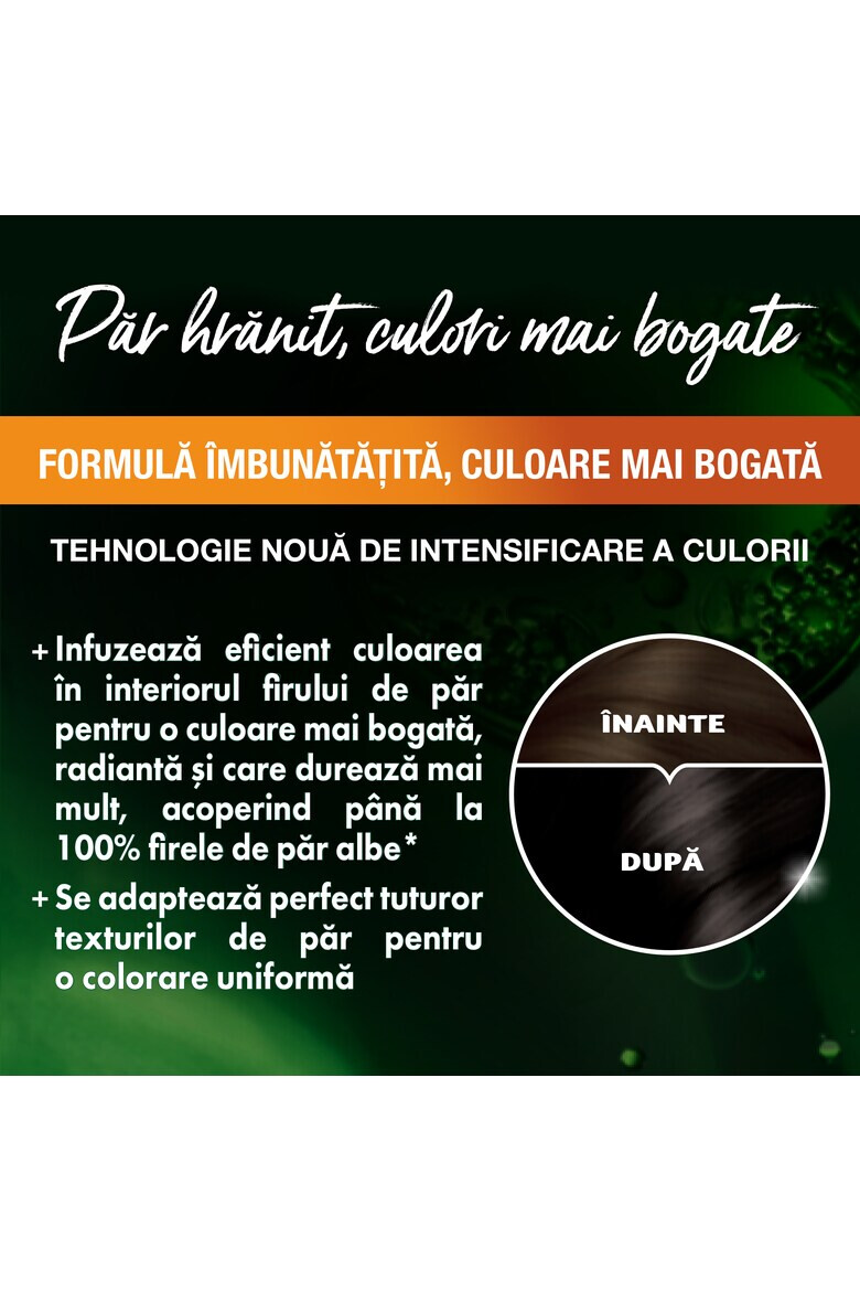 Garnier Vopsea de par permanenta cu amoniac Color Naturals 2 Negru Abanos 112 ml - Pled.ro