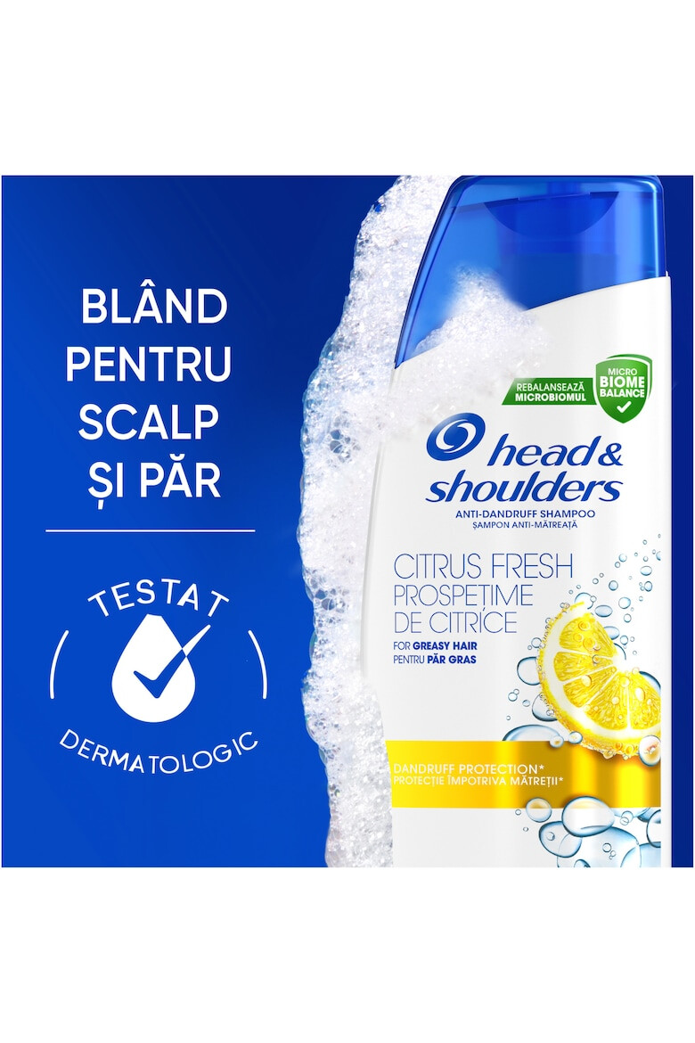 Head&Shoulders Sampon anti-matreata Head & Shoulders Citrus Fresh pentru par gras - Pled.ro