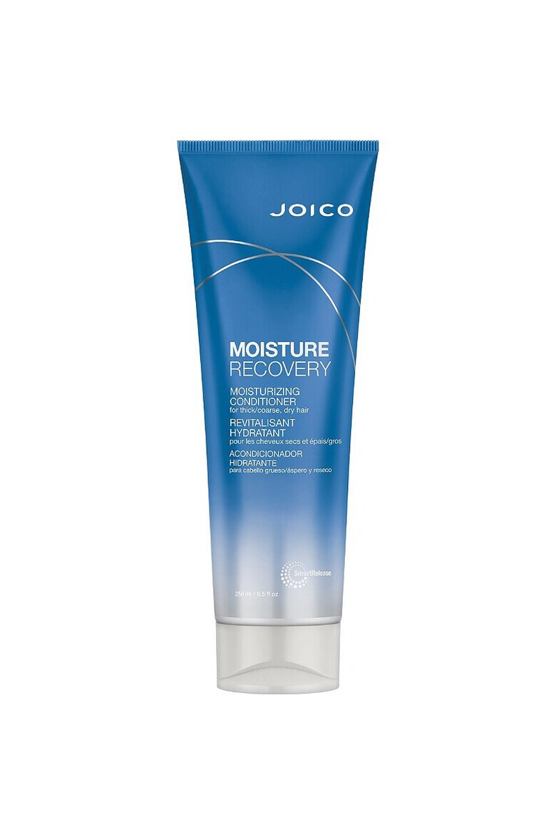 Joico Balsam de par Moisture recovery 250ml - Pled.ro