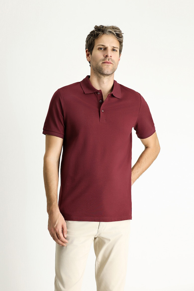 KIGILI Tricou polo din bumbac cu model uni - Pled.ro