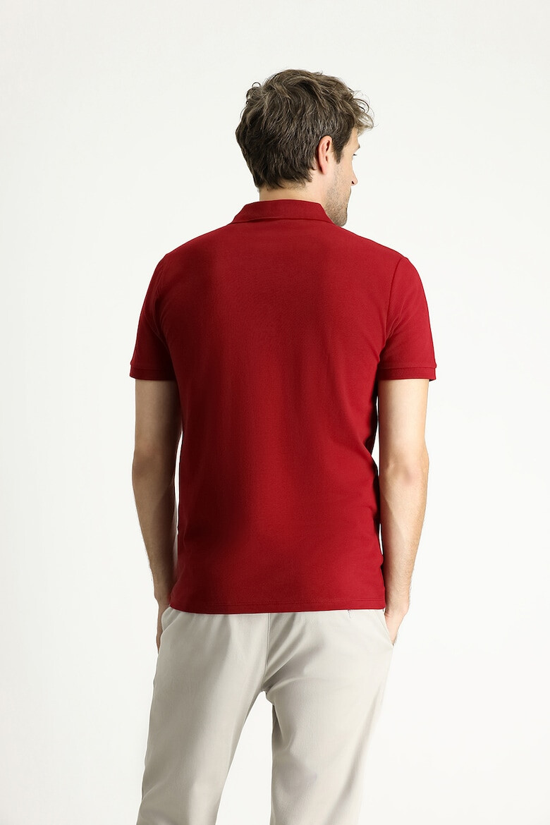 KIGILI Tricou polo din bumbac cu model uni - Pled.ro