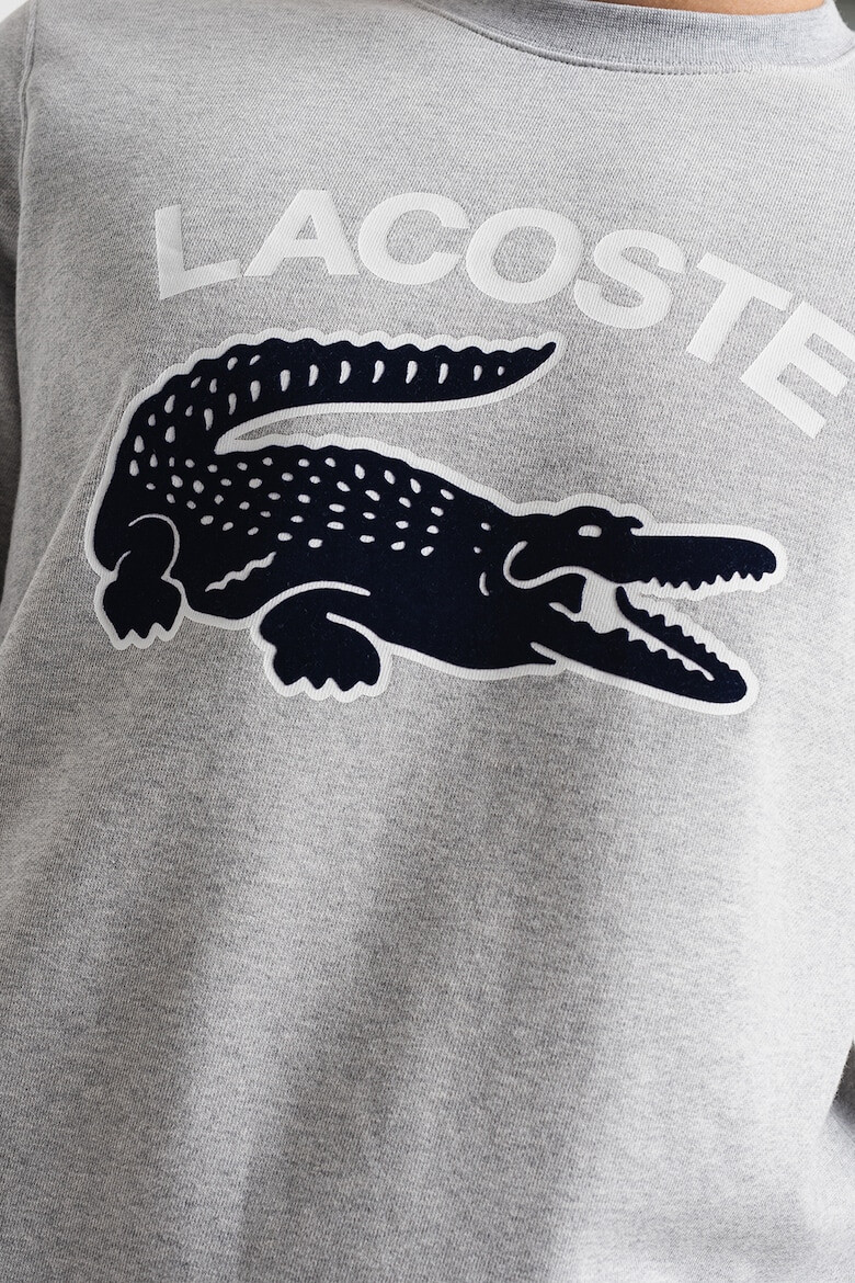 Lacoste Bluza sport din bumbac cu imprimeu logo - Pled.ro