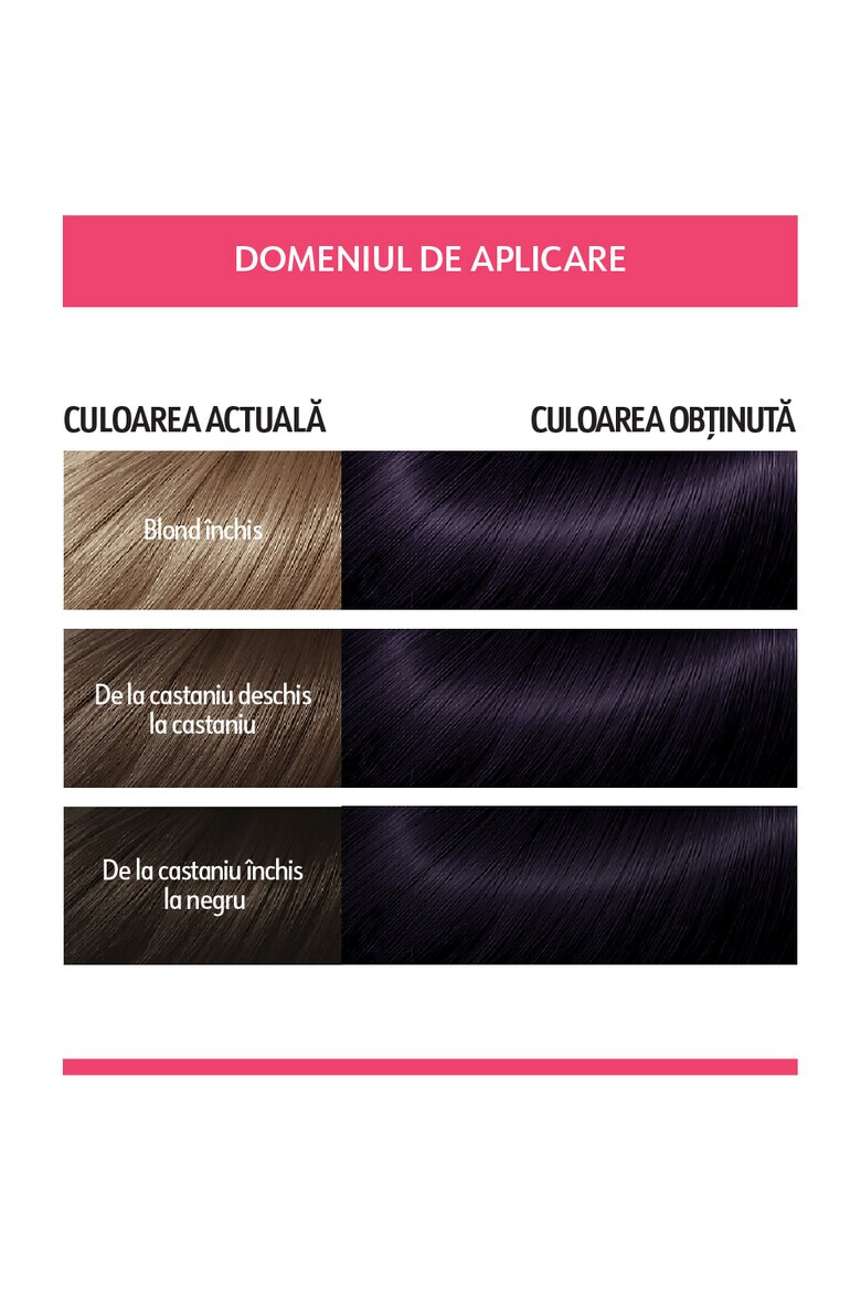 Loncolor Vopsea de Par Permanenta Ultra 1.3 Negru Violet 100 ml - Pled.ro