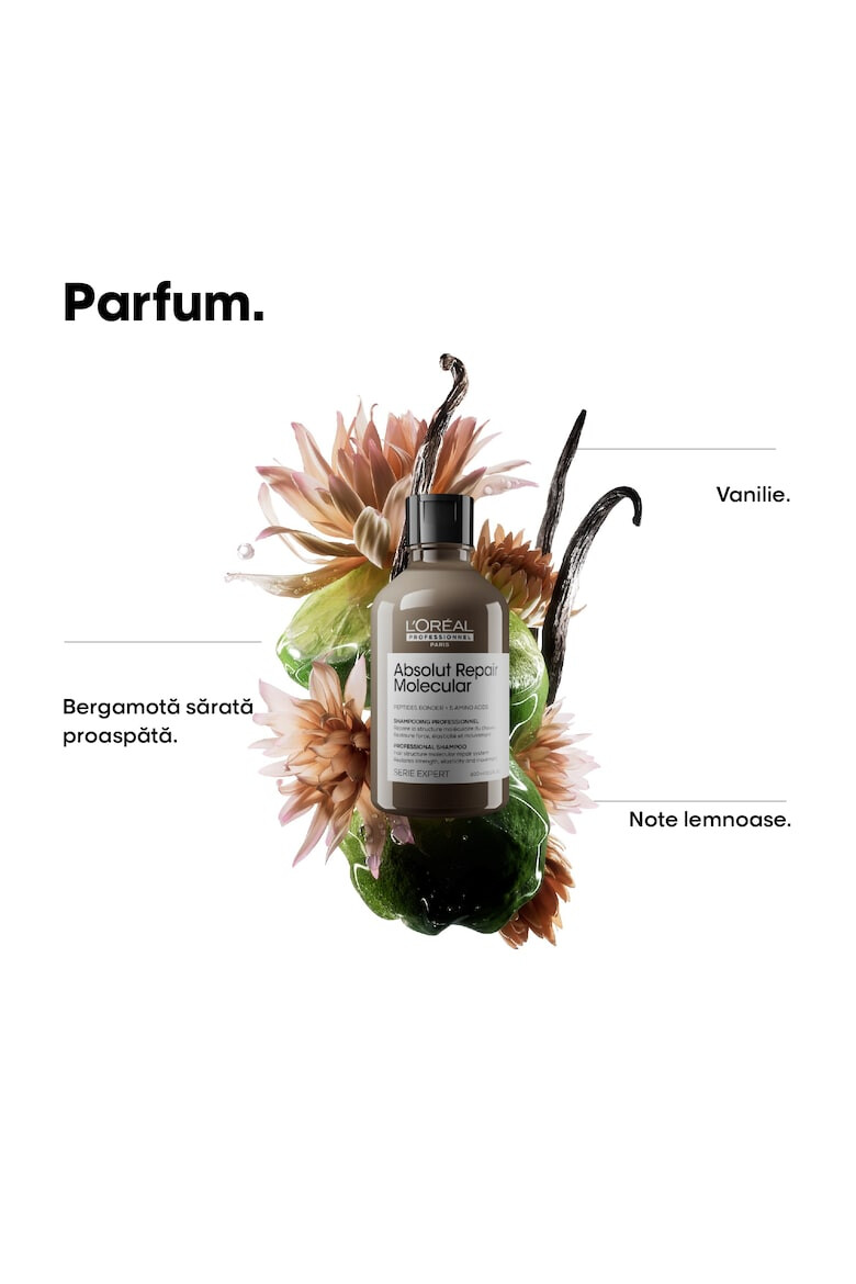 L'Oreal Professionnel Sampon pentru par deteriorat L’Oreal Professionnel Serie Expert Absolut Repair Molecular formulat cu legaturi peptidice si 5 aminoacizi repara structura macromoleculara a parului fara sulfati. - Pled.ro