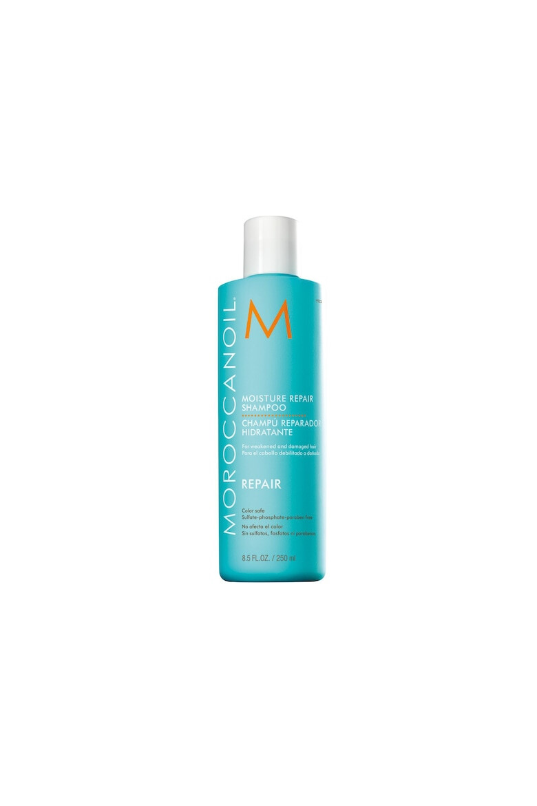 Moroccanoil Sampon ml6950 - Pled.ro