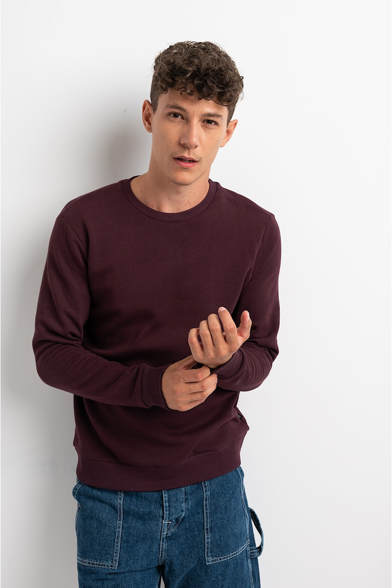 Only & Sons Bluza de trening regular fit - Pled.ro