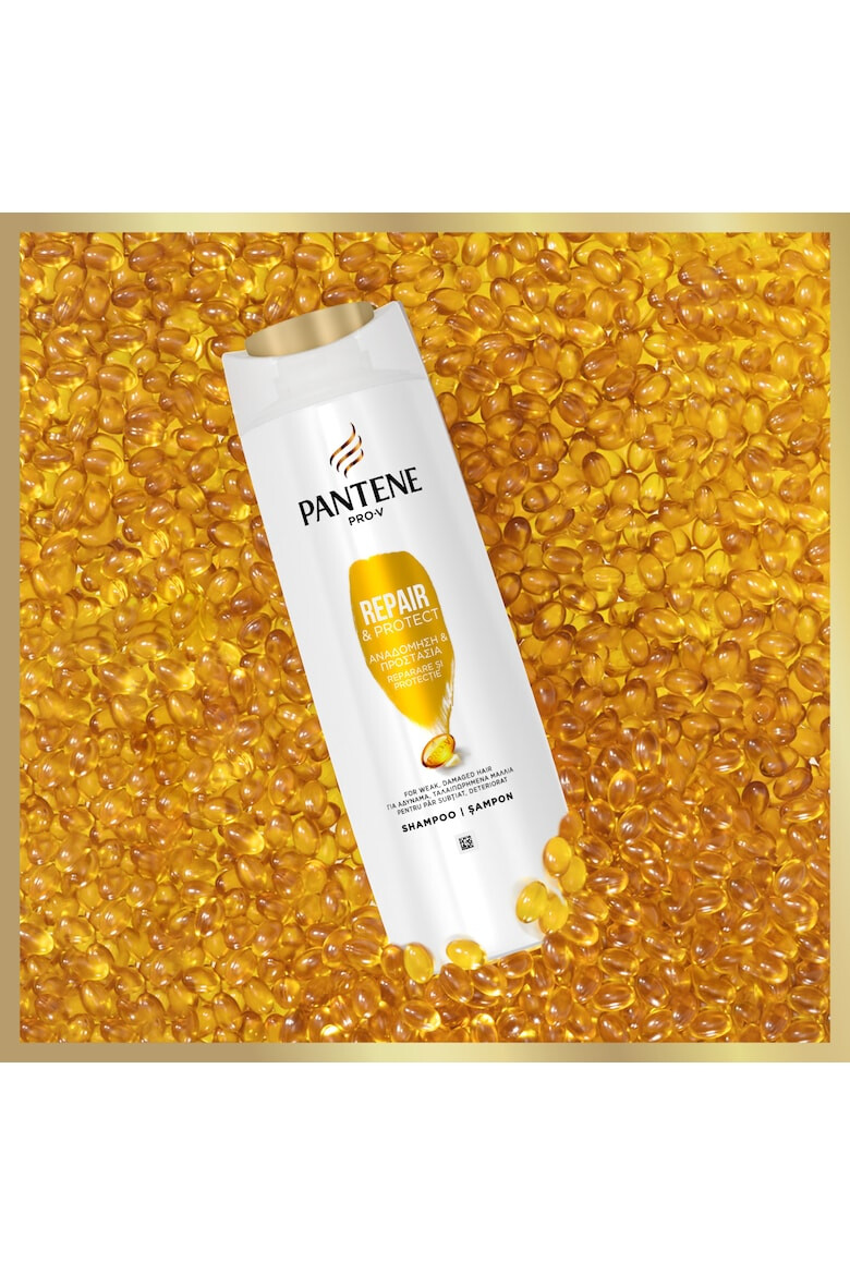 Pantene Pachet: Sampon Pro-V - Pled.ro