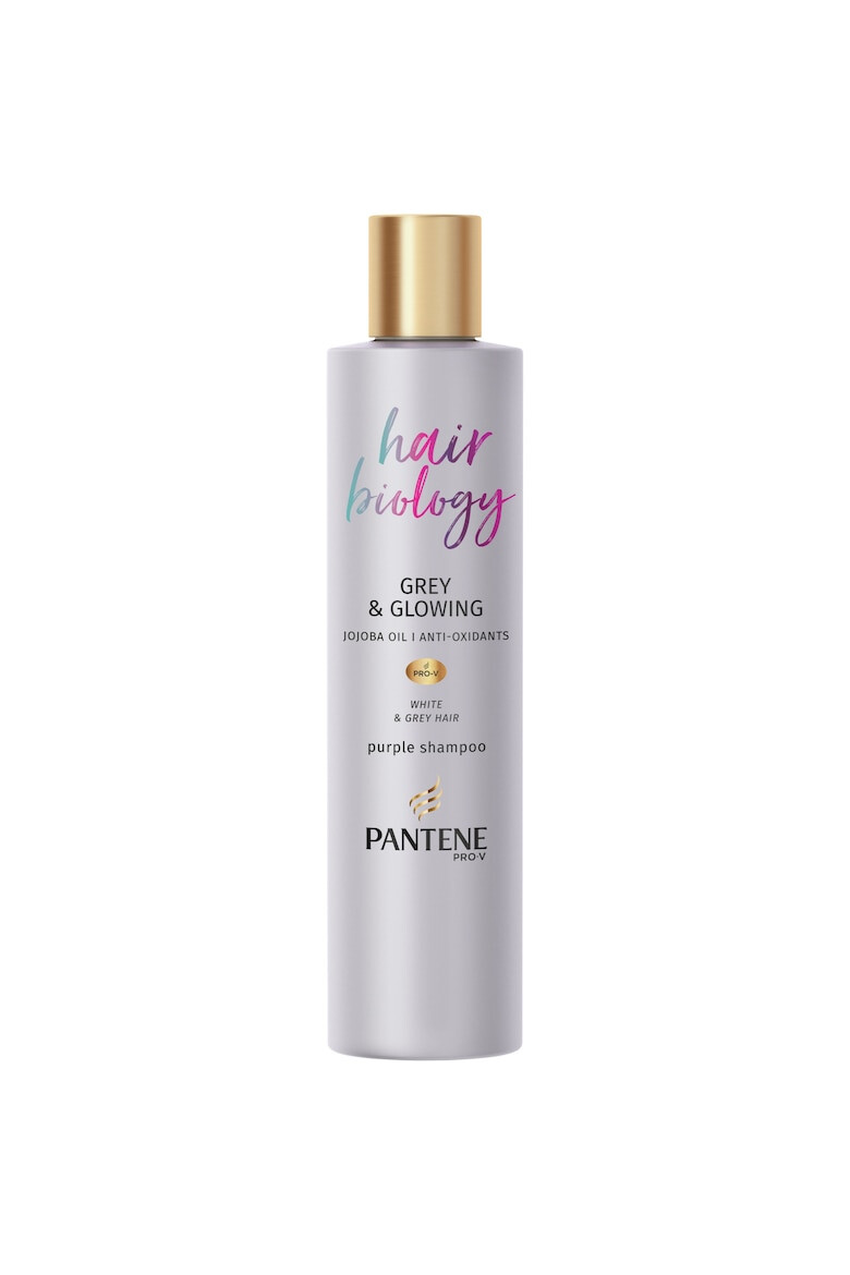 Pantene Sampon Hair Biology Grey & Glowing 250 ml - Pled.ro