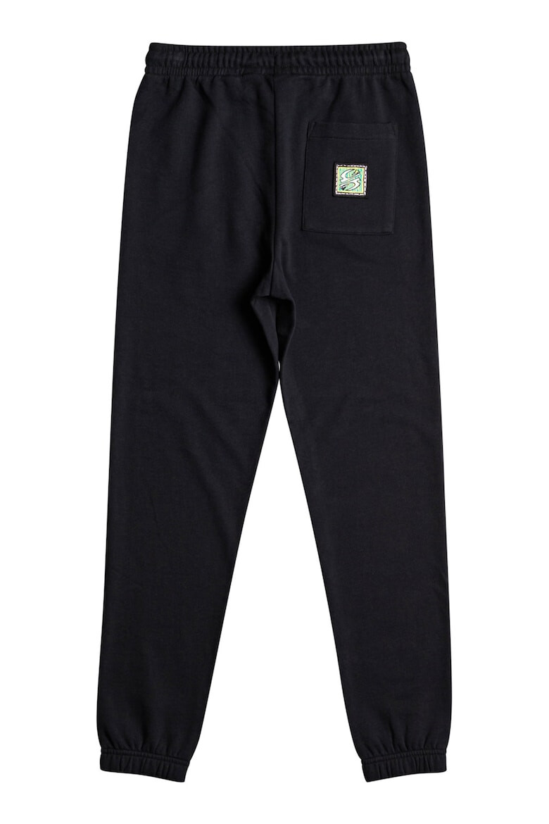 QUIKSILVER Pantaloni cu imprimeu logo pentru fitness Radical Times - Pled.ro