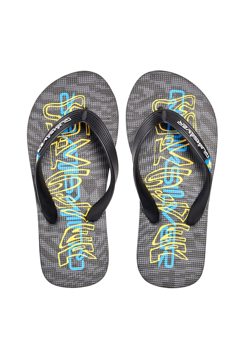 QUIKSILVER Papuci flip-flop Molokai Art - Pled.ro