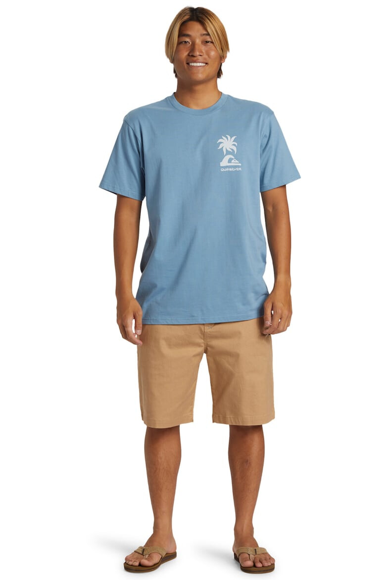 QUIKSILVER Tricou de bumbac organic cu imprimeu grafic - Pled.ro