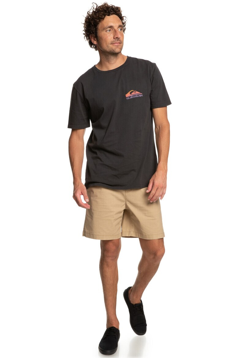 QUIKSILVER Tricou de bumbac organic Pastimeparadise - Pled.ro