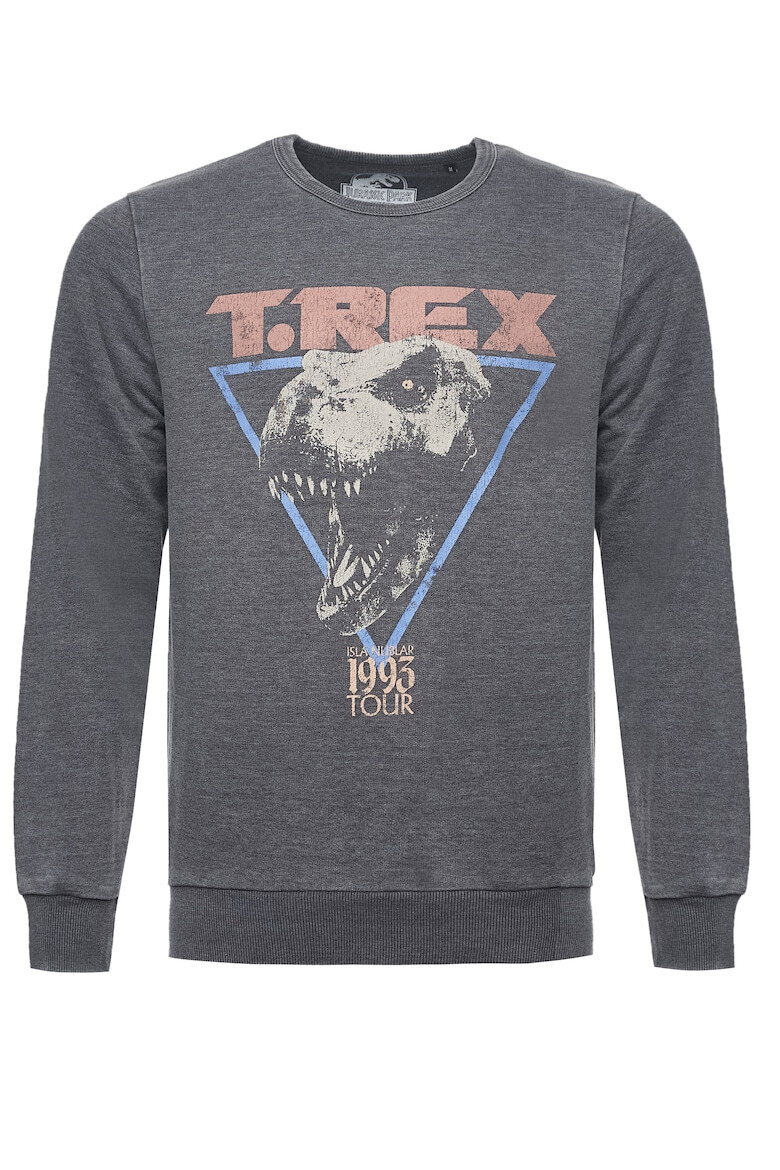 Recovered Bluza de trening Jurassic Park T-Rex 1993 - Pled.ro