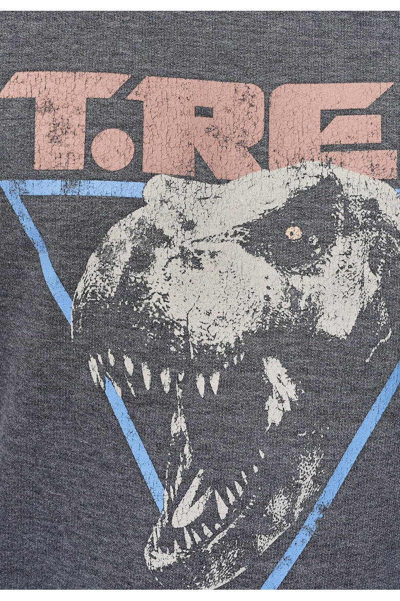 Recovered Bluza de trening Jurassic Park T-Rex 1993 - Pled.ro