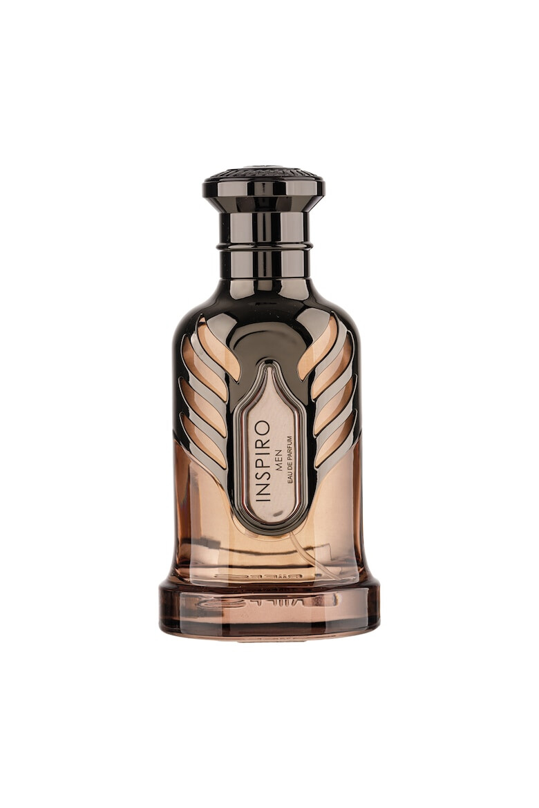 Riiffs Extrait de Parfum Inspiro Men Barbati 100ml - Pled.ro