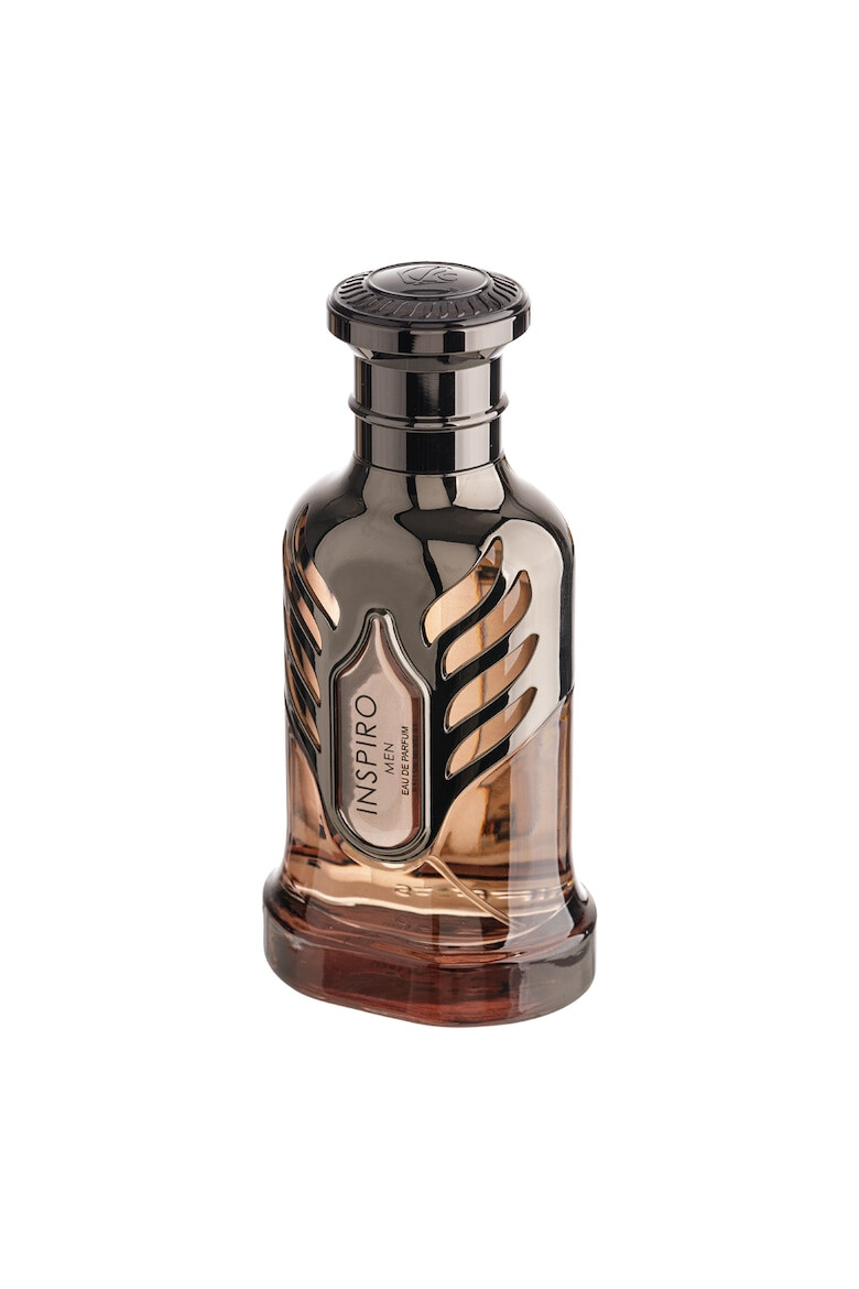 Riiffs Extrait de Parfum Inspiro Men Barbati 100ml - Pled.ro