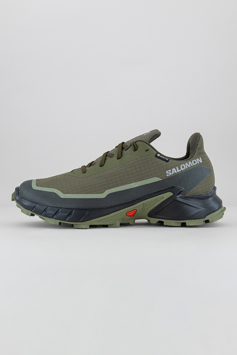 Salomon Pantofi pentru alergare Alphacross 5GTX - Pled.ro