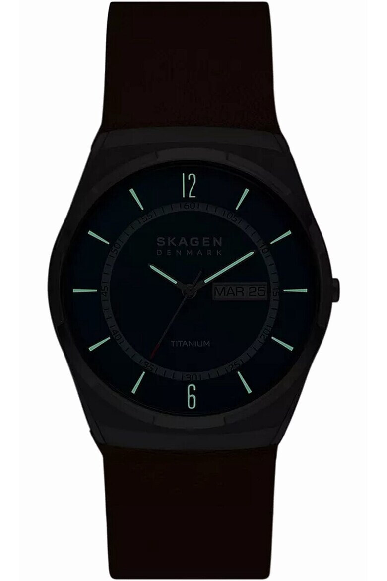 Skagen Ceas barbati Titan/Piele 5 ATM Maro/Albastru - Pled.ro